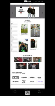 inxx原創(chuàng)網(wǎng)頁設計與數(shù)據(jù)庫管理實踐